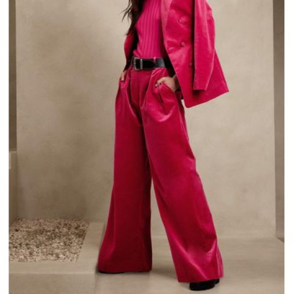 NWT: Pink Velvet Dress Pant Banana Republic